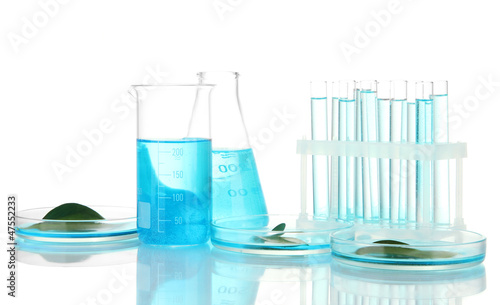 Photo: test-tubes and leaves tested in petri dishes isolated on white test-tubes and leaves tested in petri dishes isolated on white