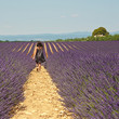 Photo: Provence - Enfant dans les champs de lavandes 2 Provence - Enfant dans les champs de lavandes 2