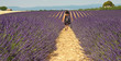 Photo: Provence - Enfant dans les champs de lavandes 2 Provence - Enfant dans les champs de lavandes 2