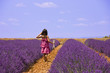 Photo: Provence - Enfant dans les champs de lavandes 3 Provence - Enfant dans les champs de lavandes 3