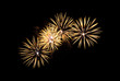 Yellow fireworks in the night sky
