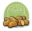 Vector: raw potato raw potato