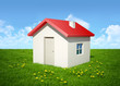 The house on a grass