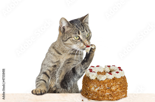 Photo: Sweet Tooth Sweet Tooth