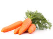 Carrot vegetable with leaves