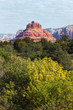 red rock of Sedona