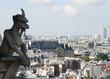 Gárgolas en Paris