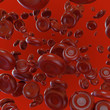blood cells
