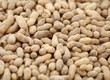 Photo: Unpeeled peanut Unpeeled peanut