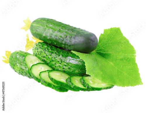 Photo: Cutting cucumbers with yellow blossom cluster. Cutting cucumbers with yellow blossom cluster.