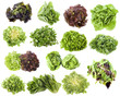 varieties of salads