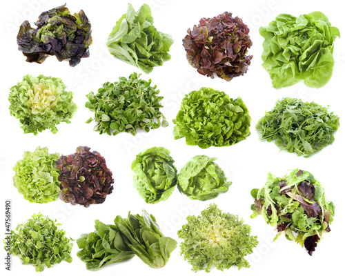 Photo: varieties of salads varieties of salads