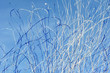 Foto: falling blue and white streamers falling blue and white streamers