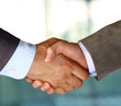 Two businessman shaking hands