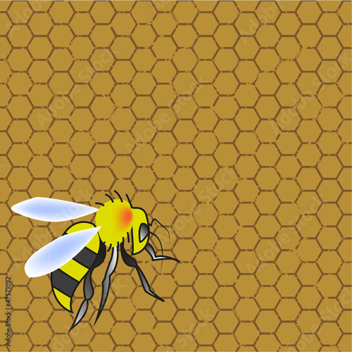 Vector: Honeycomb and wasp Honeycomb and wasp