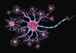 schematic illustration of the neuron on a black background