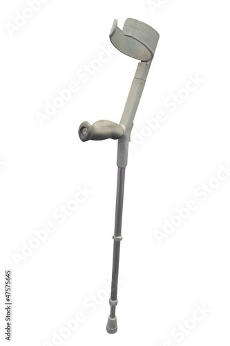Photo: walking stick walking stick