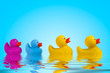 yellow rubber ducks in water.