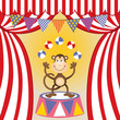 Circus monkey juggling