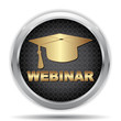 WEBINAR ICON