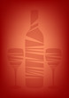 Bottle of wine and glass on red background.
