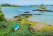 green alga Brehat island france