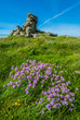 Brehat island france