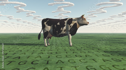 Illustration: Cow and questions clouds GMO Cow and questions clouds GMO