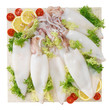 Calamari - Squid