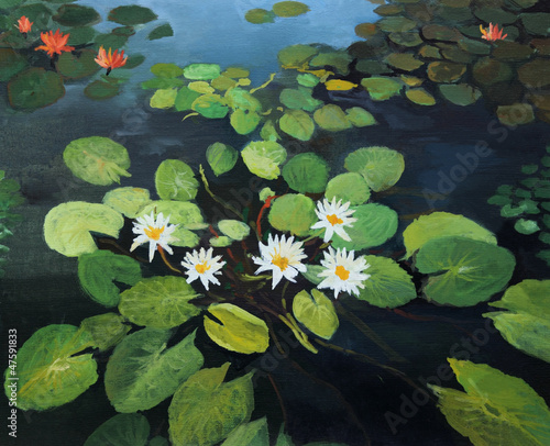 Photo: Water Lilies Water Lilies