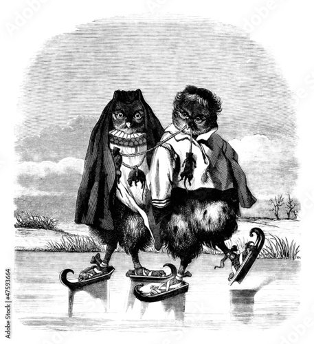 Illustration: Owls Skaters - Hiboux Patineurs (Fantasy-Humour) Owls Skaters - Hiboux Patineurs (Fantasy-Humour)