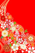 和柄/桜/花/赤
