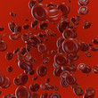 blood cells