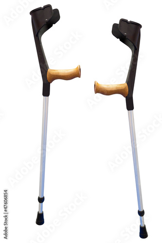 Photo: walking stick walking stick