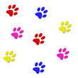 paw prints