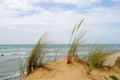 Coast island Oleron