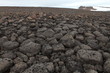 Photo: Arctic stone desert Arctic stone desert
