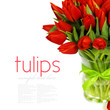 red tulips