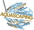 Word cloud for Aquascaping