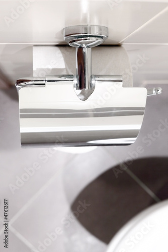 Photo: Roll of toilet paper holder in the toilet. Roll of toilet paper holder in the toilet.
