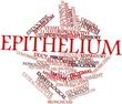 Word cloud for Epithelium