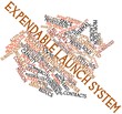 Word cloud for Expendable launch system