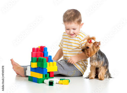 Photo: Child playing with building blocks toys. York terrier dog sittin Child playing with building blocks toys. York terrier dog sittin