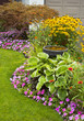 Manicured Yard