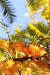Herbst Herbst