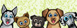 Set of funny cartoon dogs