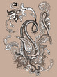 Hand Drawn Paisley ornament.