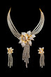 Close up of diamond necklace with diamond ear ring
