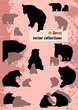Bears silhouette