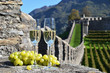 Pair of champagne glasses and grapes. Bellinzona, Switzerland